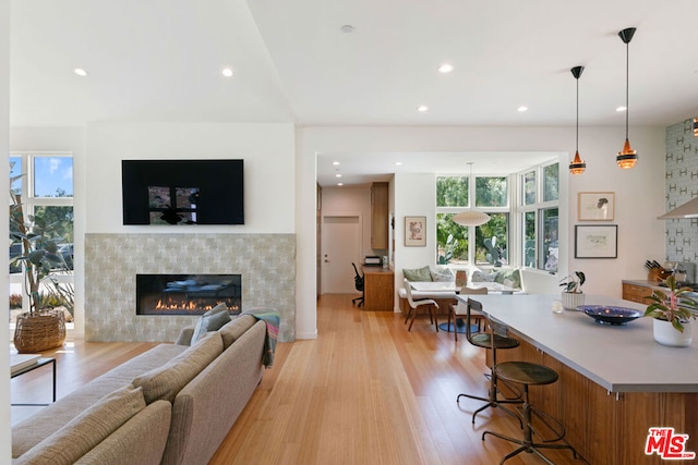 living room featuring a tile fireplace and light hardwood / wood-style flooring