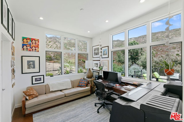 office area featuring hardwood / wood-style floors