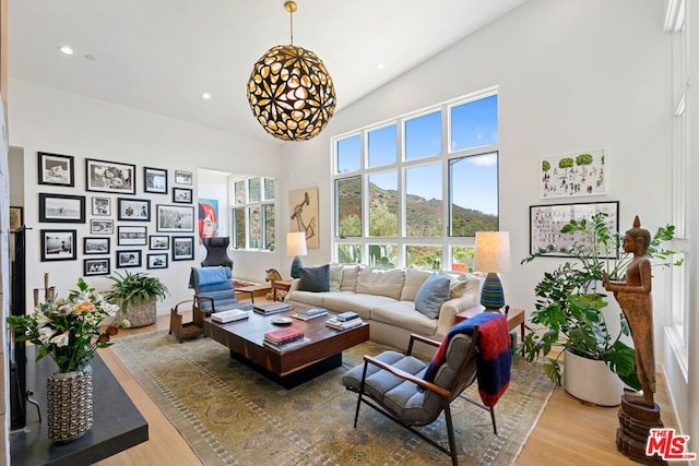 living room with a towering ceiling and hardwood / wood-style flooring