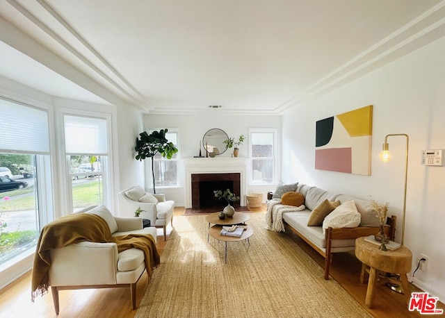 living room with light hardwood / wood-style flooring