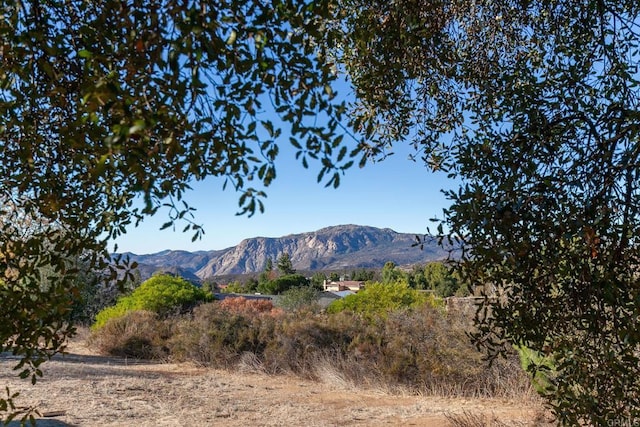 view of mountain feature