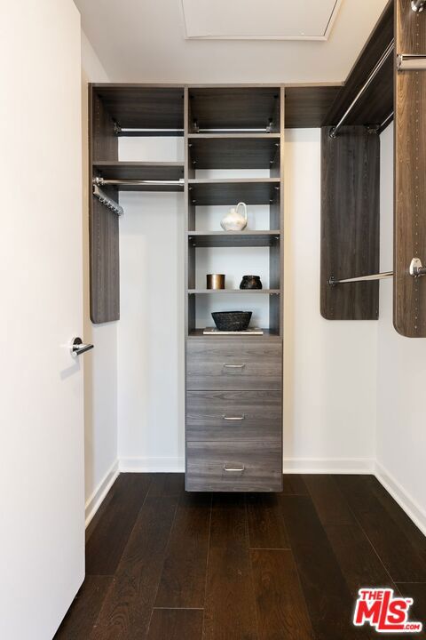 walk in closet with dark hardwood / wood-style floors