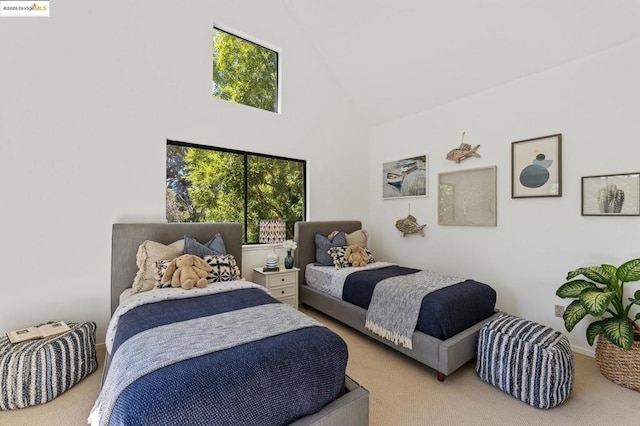 bedroom featuring carpet and a high ceiling