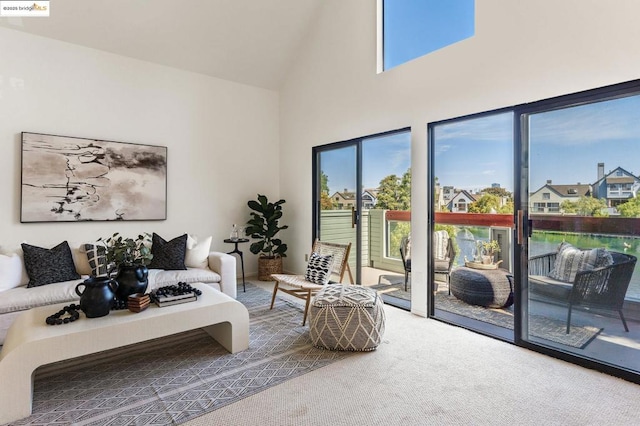 living room featuring carpet