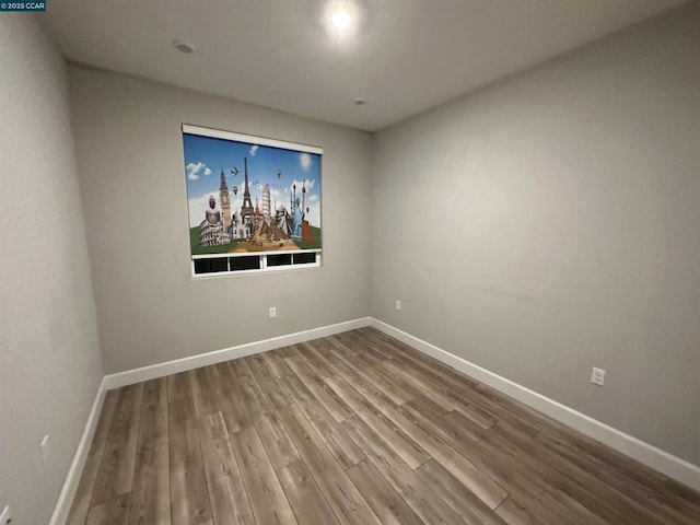 empty room featuring wood-type flooring