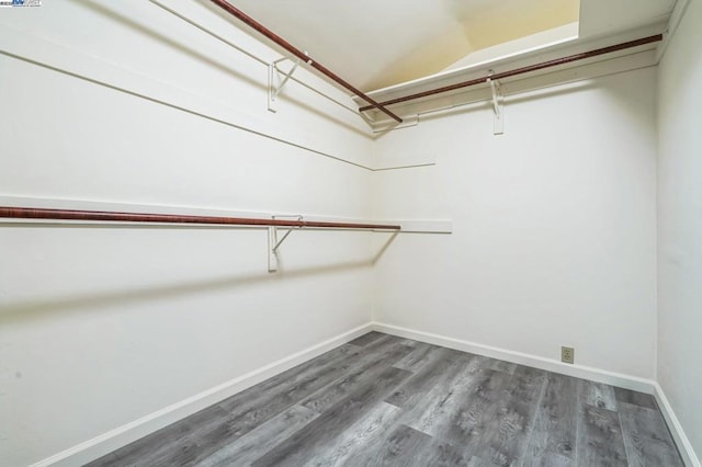 walk in closet featuring dark hardwood / wood-style flooring