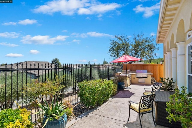 view of patio / terrace with an outdoor kitchen and area for grilling