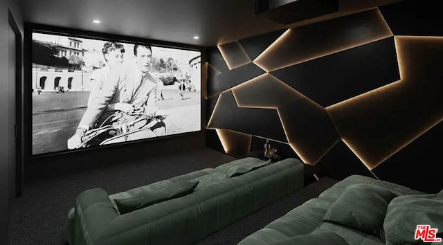 home theater room with carpet