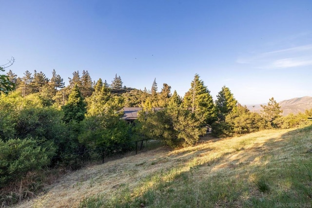 view of local wilderness with a mountain view and a rural view