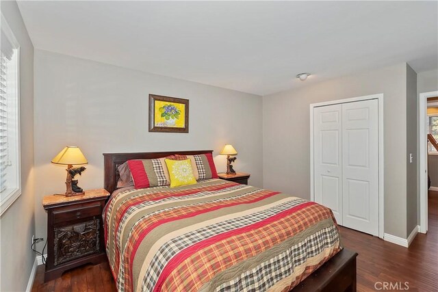 bedroom featuring dark hardwood / wood-style floors, multiple windows, and a closet