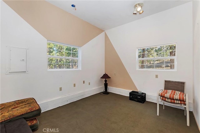 additional living space with dark carpet, electric panel, and vaulted ceiling