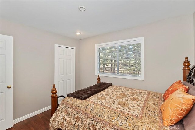 bedroom featuring a closet and dark wood-type flooring