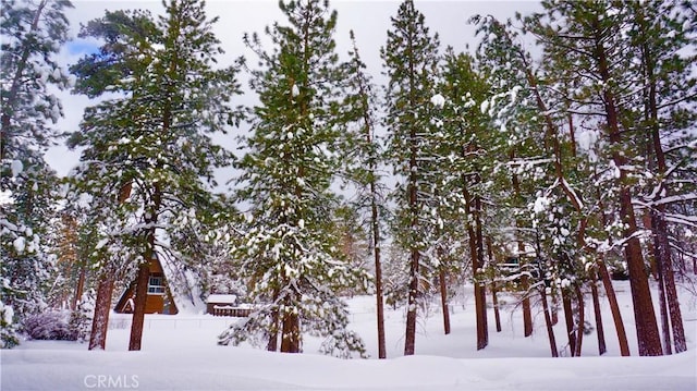 view of snow covered exterior