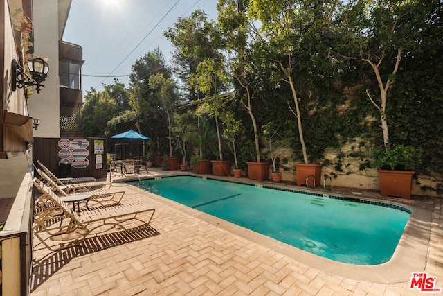 view of pool with a patio area