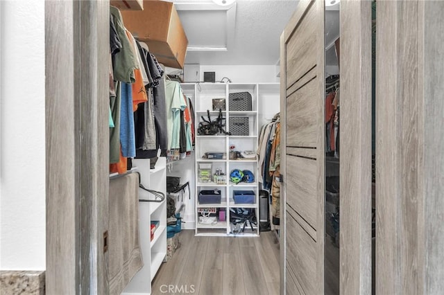 spacious closet featuring light wood-type flooring