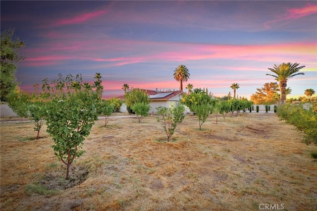 view of yard at dusk