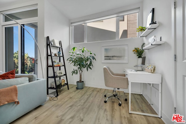 office featuring light hardwood / wood-style flooring