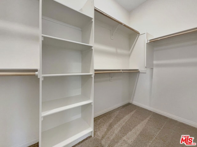 walk in closet with carpet floors