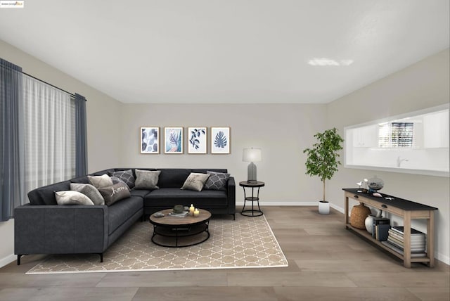 living room featuring wood-type flooring