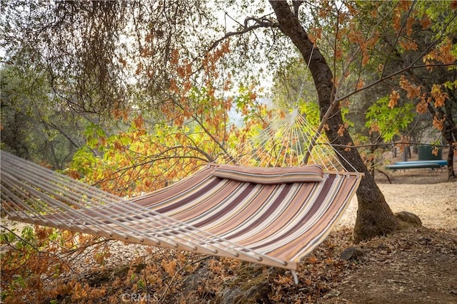 view of community with a trampoline