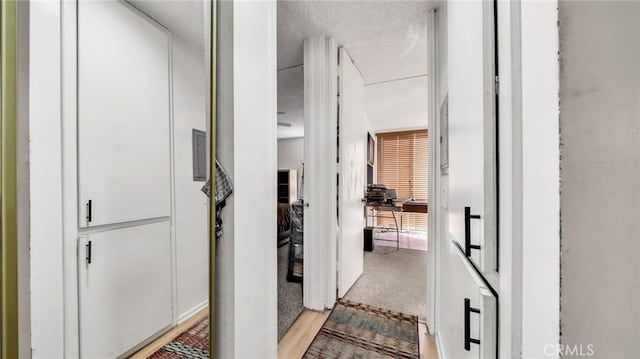 6435 Green Valley Cir Unit 214, Culver City, CA 90230 - hallway featuring light carpet
