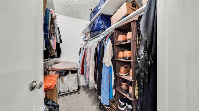 6435 Green Valley Cir Unit 214, Culver City, CA 90230 - spacious closet with carpet floors