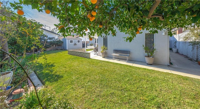 view of yard with a patio area, an outdoor structure, and fence