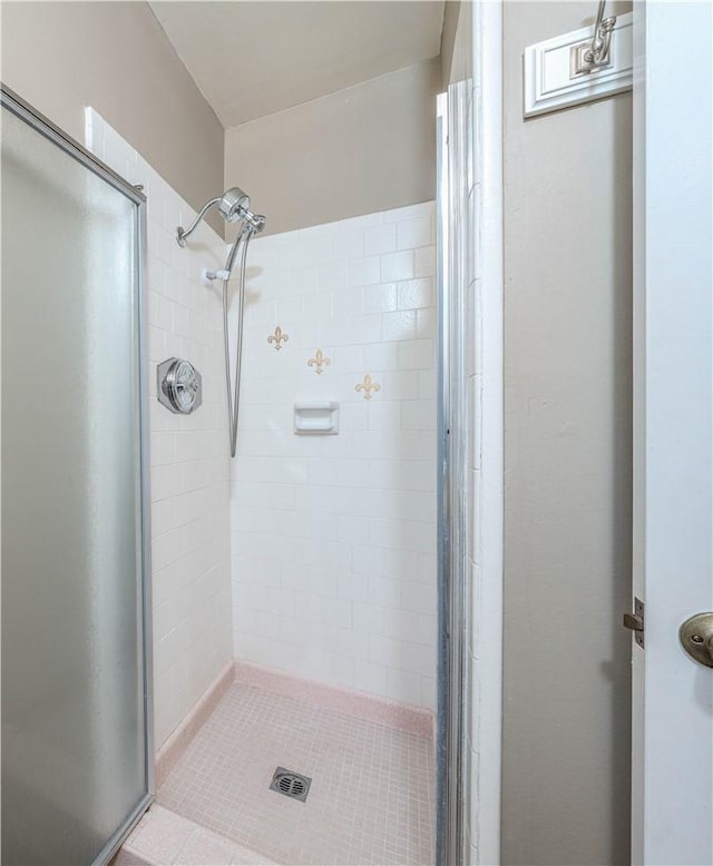 bathroom featuring a shower stall