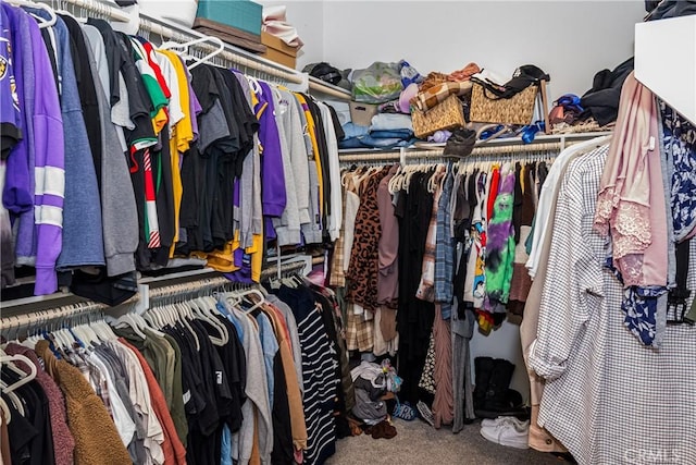 spacious closet with carpet flooring