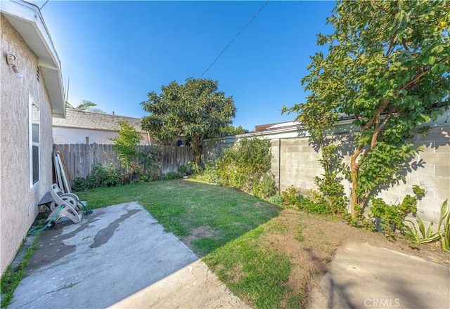 view of yard featuring a patio area and a fenced backyard