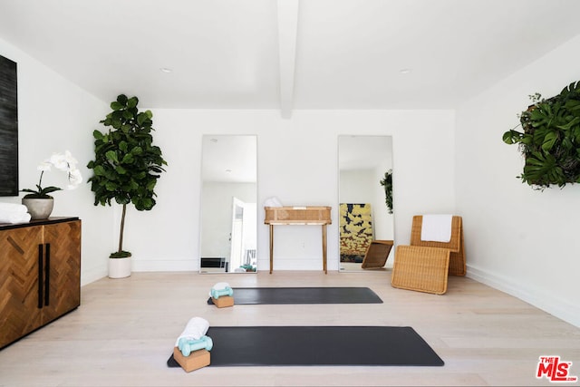 exercise room featuring light hardwood / wood-style flooring