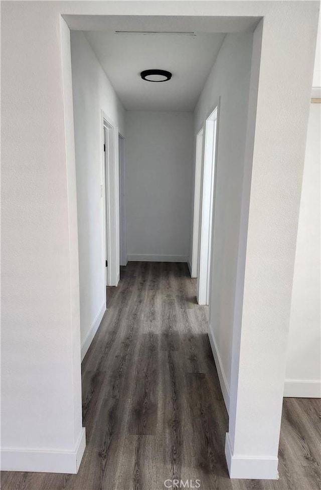 hallway featuring dark wood-type flooring