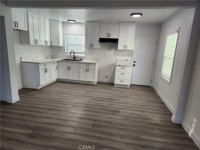 kitchen with white cabinetry, sink, dark wood-type flooring, and plenty of natural light