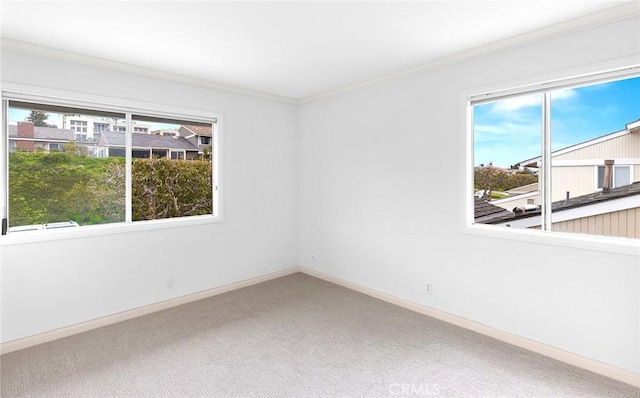 carpeted empty room featuring crown molding