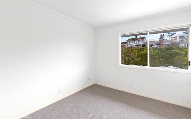 unfurnished room with a wealth of natural light, carpet, and ornamental molding