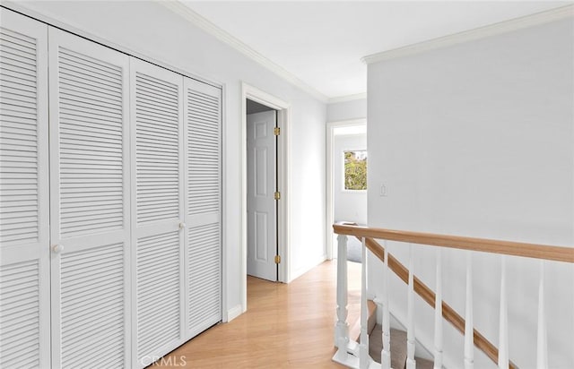 hall with light hardwood / wood-style floors and ornamental molding