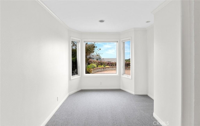 carpeted empty room with ornamental molding