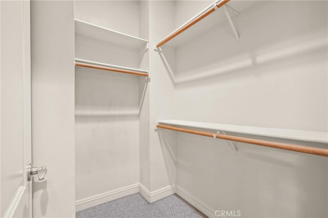 spacious closet with carpet flooring