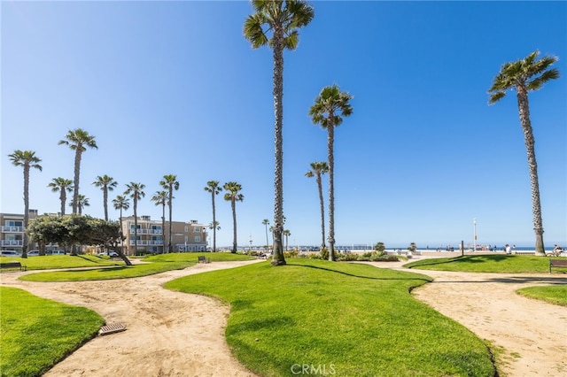 view of community with a lawn