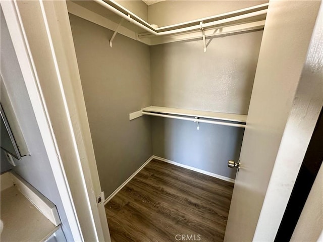 walk in closet featuring dark hardwood / wood-style flooring