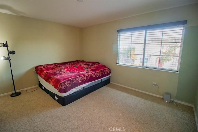 bedroom with carpet