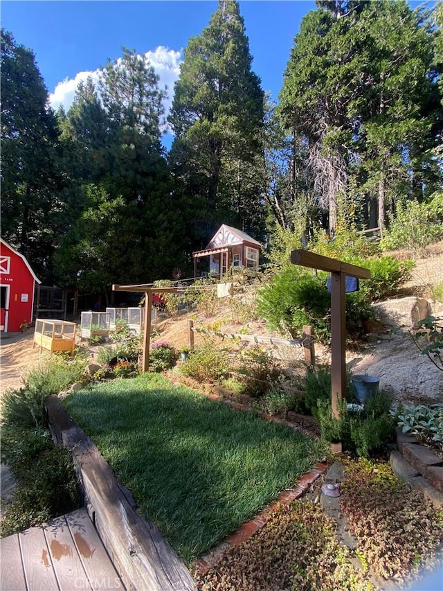 view of yard featuring an outbuilding