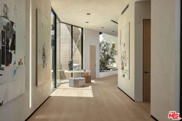 corridor with a healthy amount of sunlight, a wall of windows, and light wood-type flooring