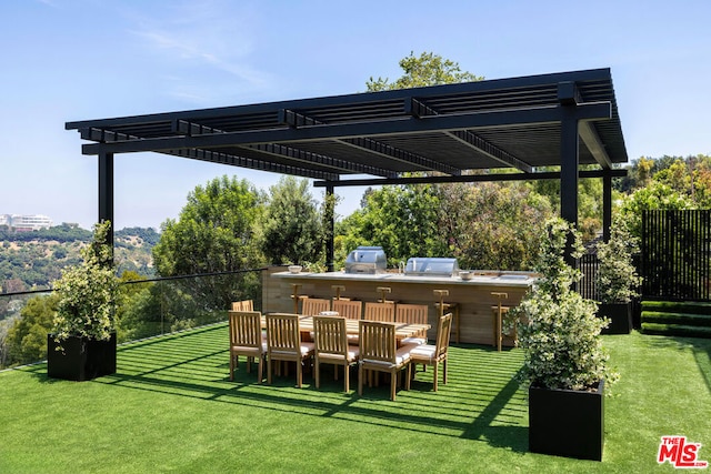 view of yard featuring a pergola and exterior kitchen