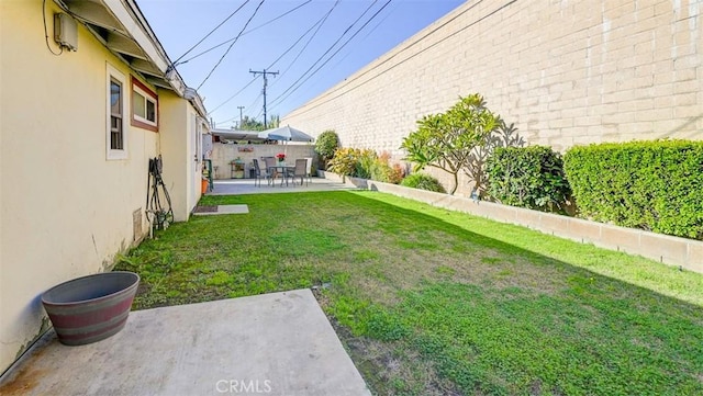 view of yard featuring a patio