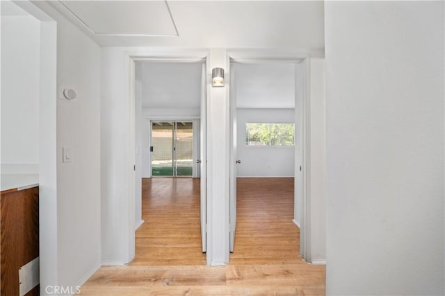 hall featuring light hardwood / wood-style floors