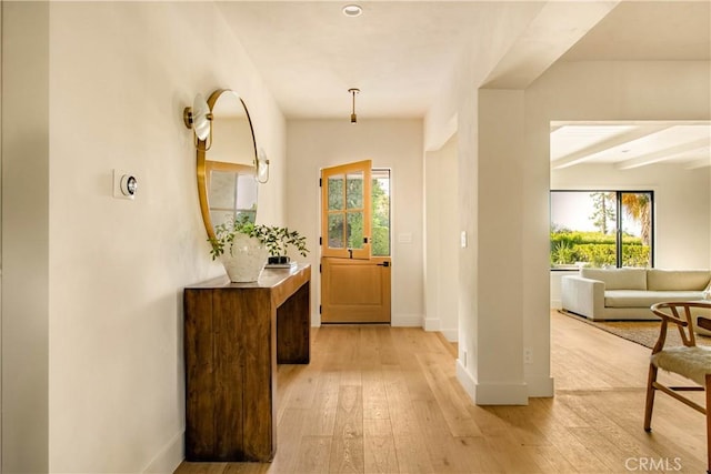 foyer entrance with plenty of natural light and light hardwood / wood-style flooring