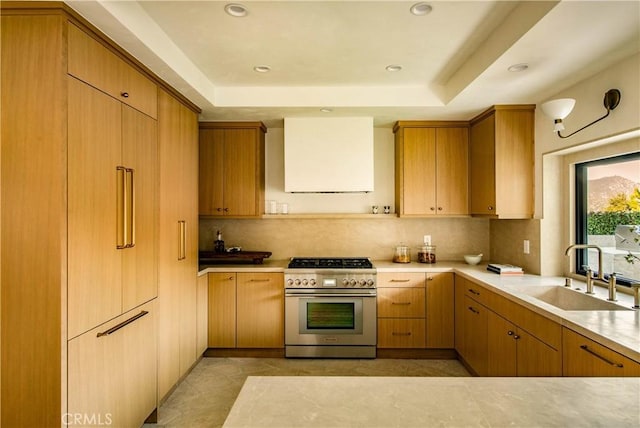 kitchen featuring stainless steel range, sink, ventilation hood, a tray ceiling, and decorative backsplash