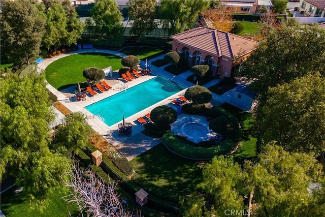 view of pool featuring a patio area