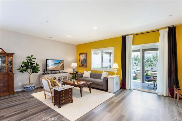 living room with wood-type flooring